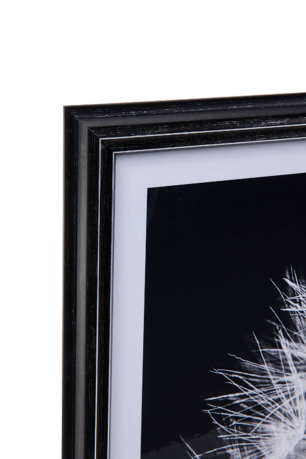 Novità Home Gallery - Stampa Soffione Bianco E Nero Offerta San Valentino