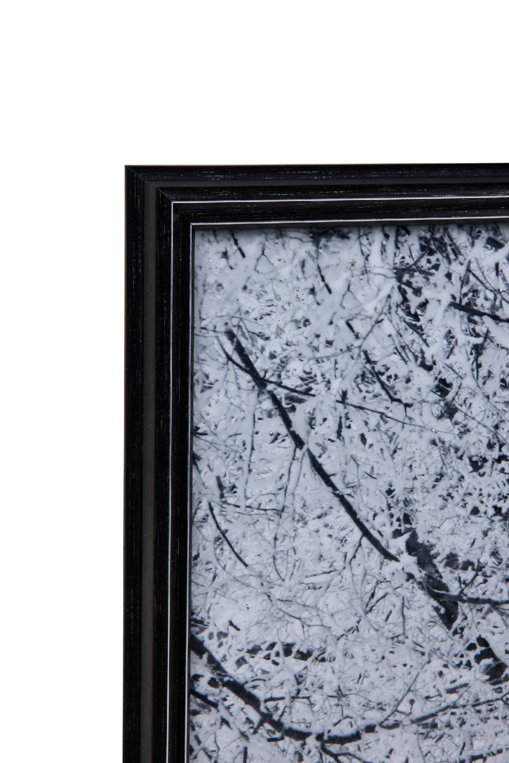 Novità Home Gallery - Quadro Viale Alberato Promozione