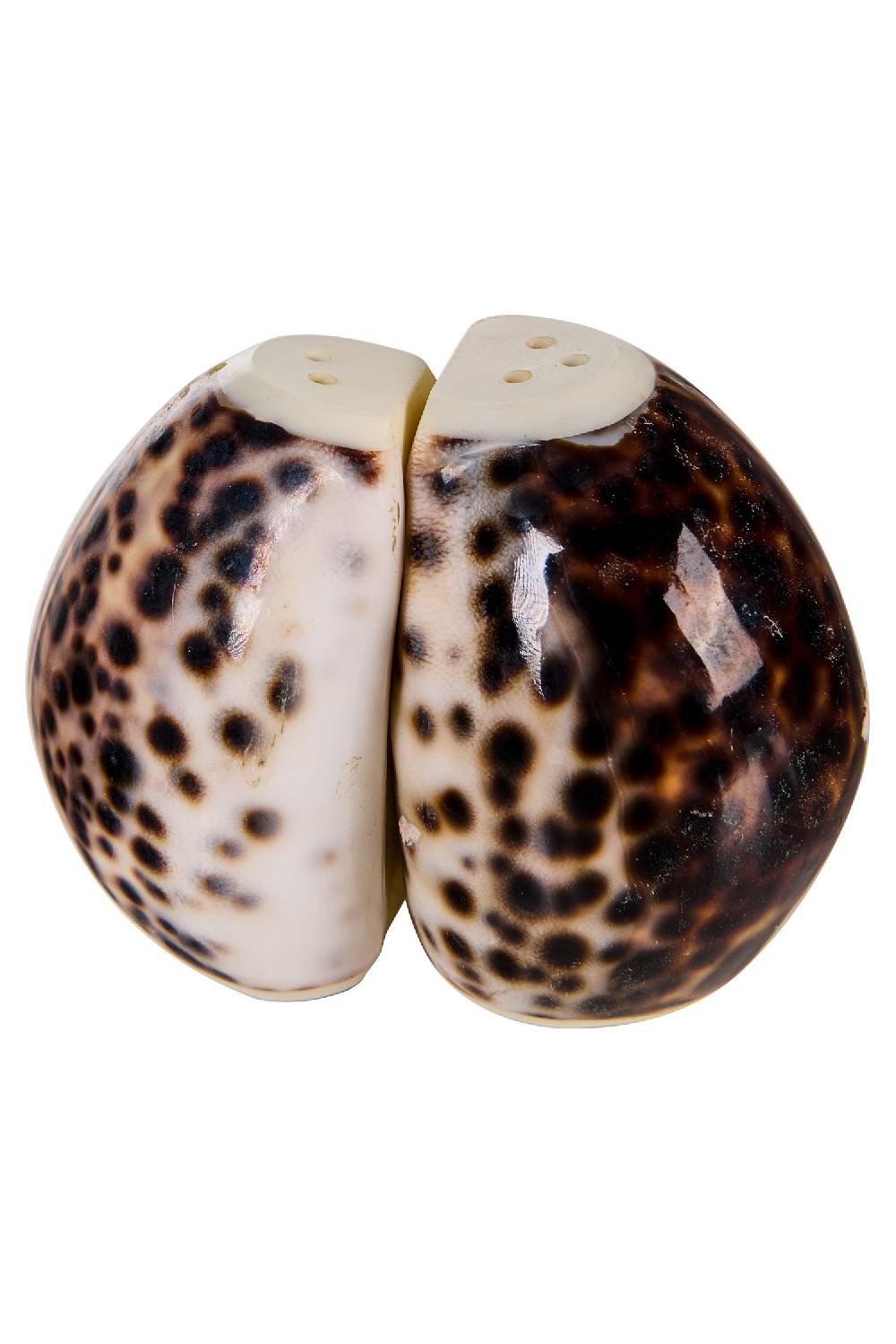 Novità Home Spotted Shells - Sale E Pepe Black Friday Prezzi