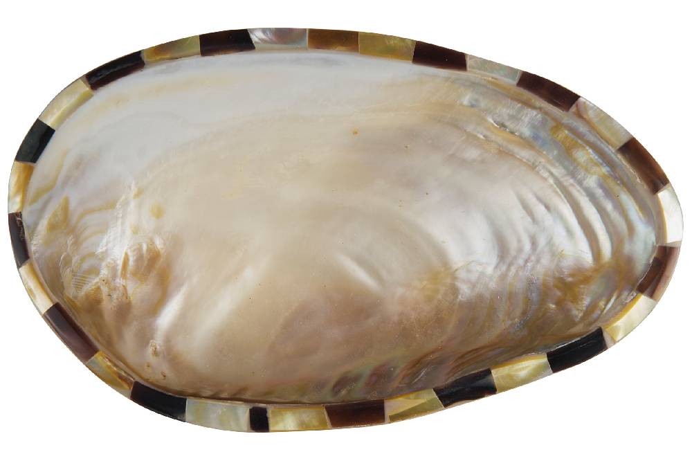 Novità Home Manyuse - Svuota Tasche Conchiglia 2025