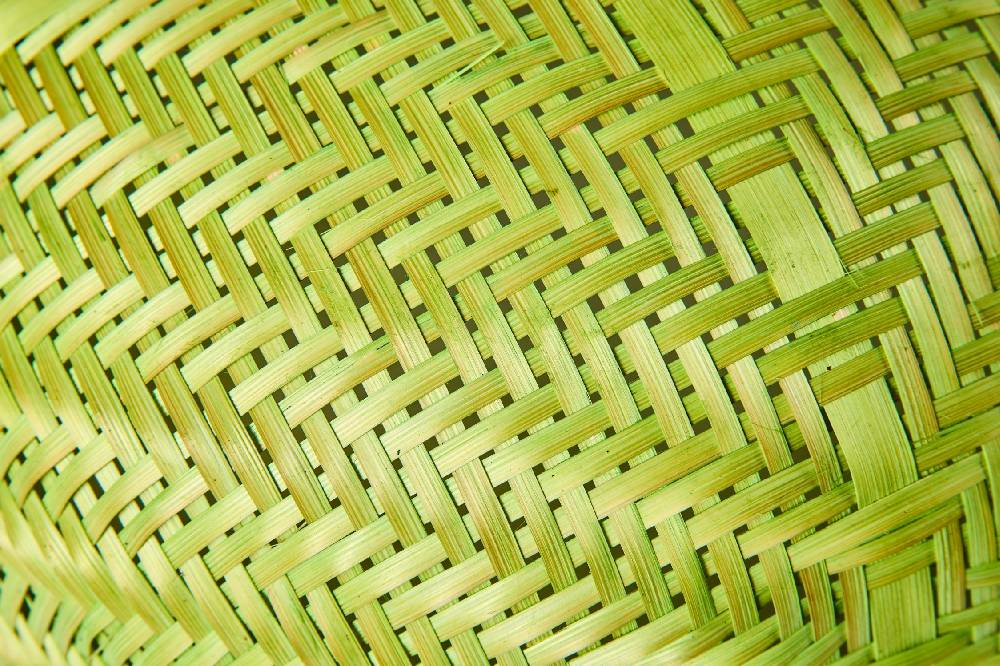 Novità Home Homemade - Coprivivande Tondo Verde Ritorno libero