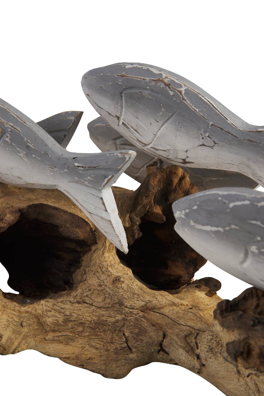 Novità Home Fish - Branco Pesci Grigi Su Tronco Negozio