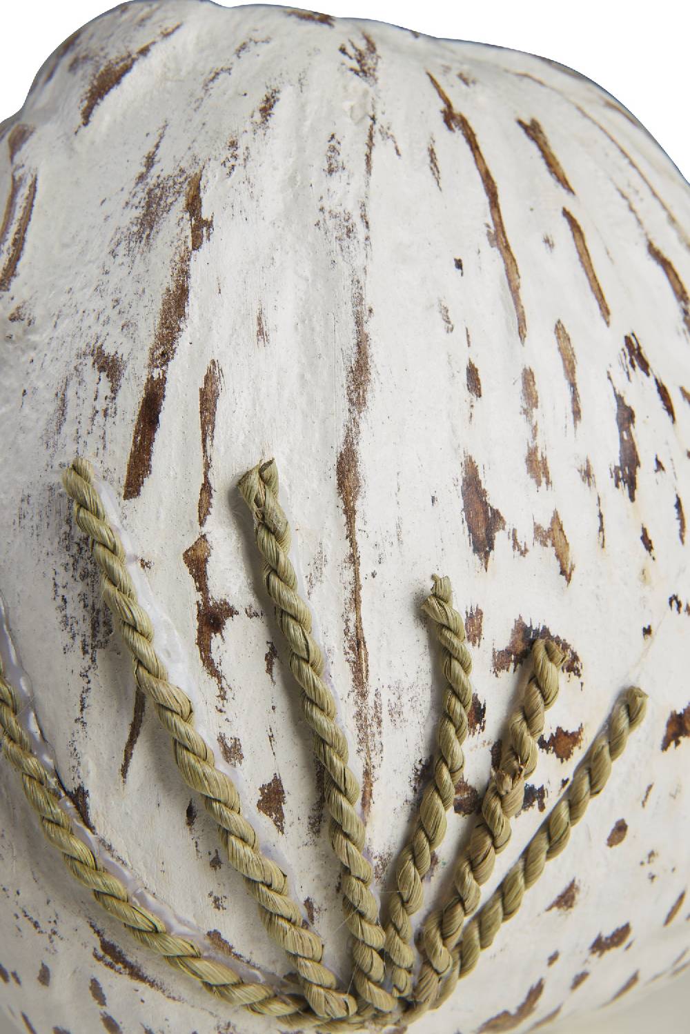 Novità Home Decor - Civetta Cocco Bianco Offerta Giorno del Papà