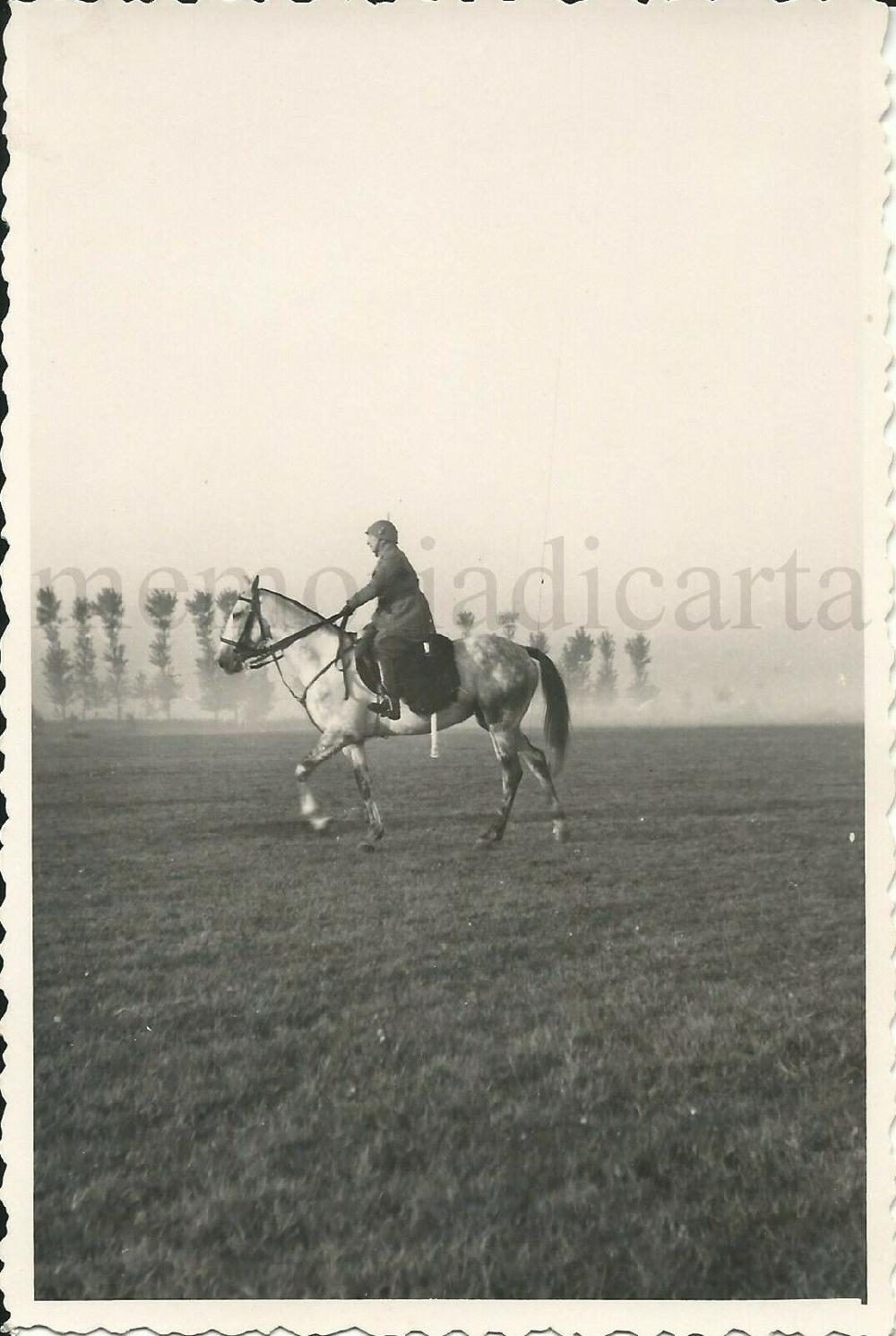 Abebooks Foto originale/autografo Col.Tarnassi Com 13°Cavalleggeri di Monferrato/Ferrara Offerta Anniversario