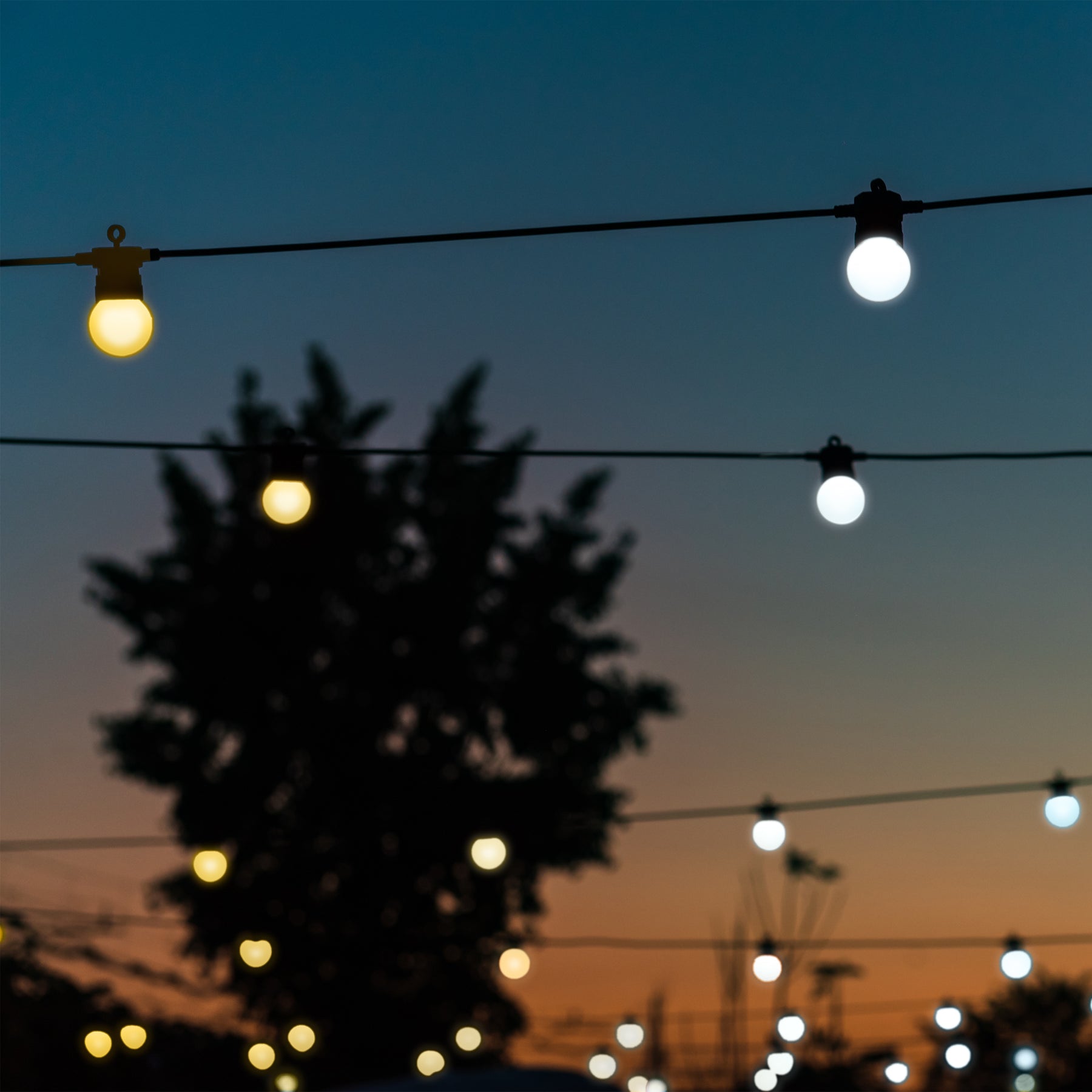 Twinkly Festoon (edizione Oro e Argento) Moda