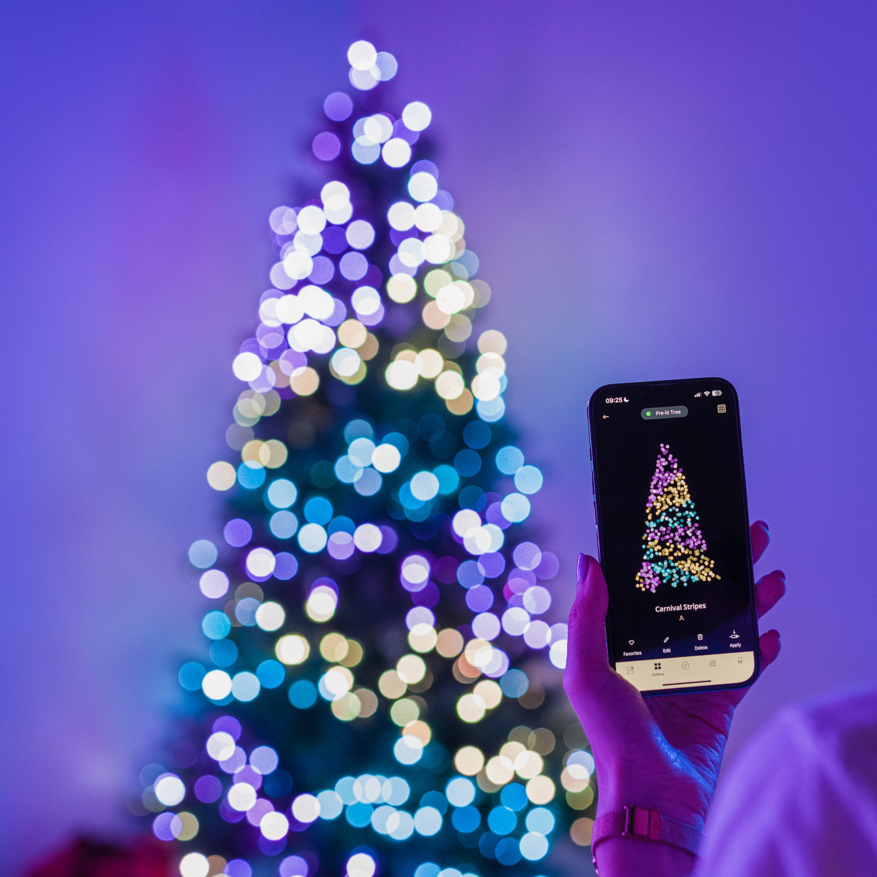 Twinkly Pre-lit Regal Tree (Multicolore) Outlet
