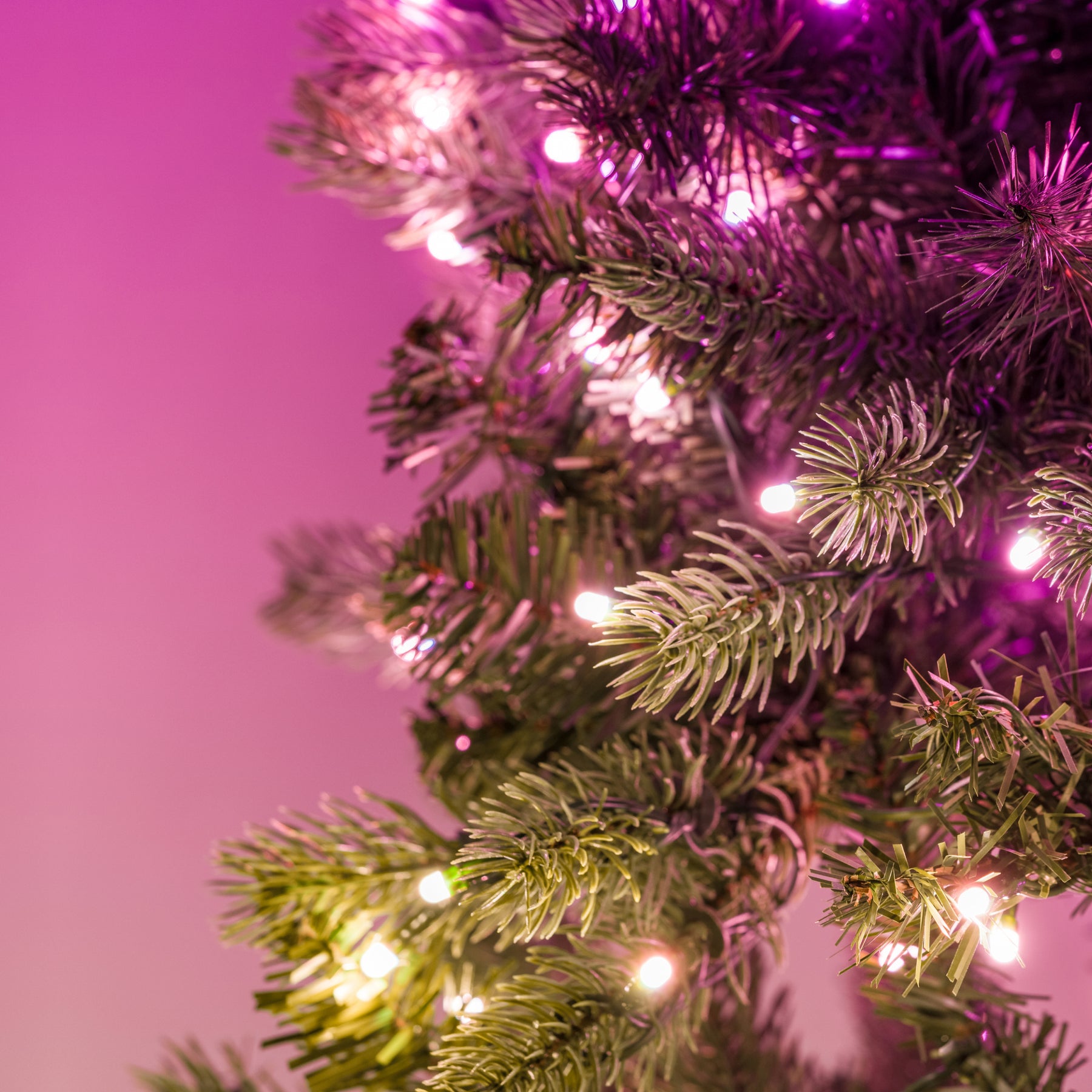 Twinkly Pre-lit Regal Tree (Multicolor + Bianco) In Vendita